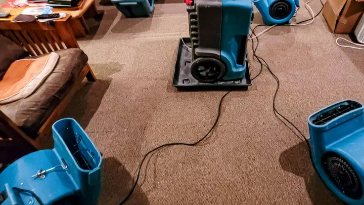 Air movers and a dehumidifier drying wet carpet in a room