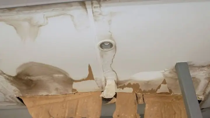 Water damaged ceiling sagging and peeling around a light fixture
