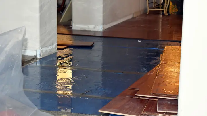 Laminate planks lifted from a wet subfloor covered with plastic sheeting