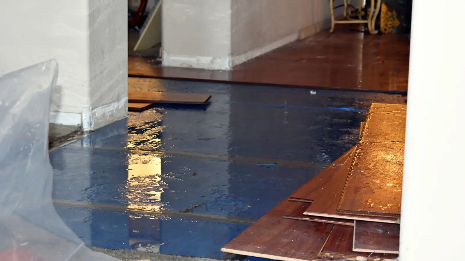 Laminate planks lifted from a wet subfloor covered with plastic sheeting