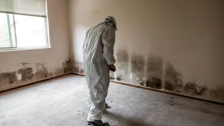 Technician in a white protective suit standing in a room with mold along the baseboards